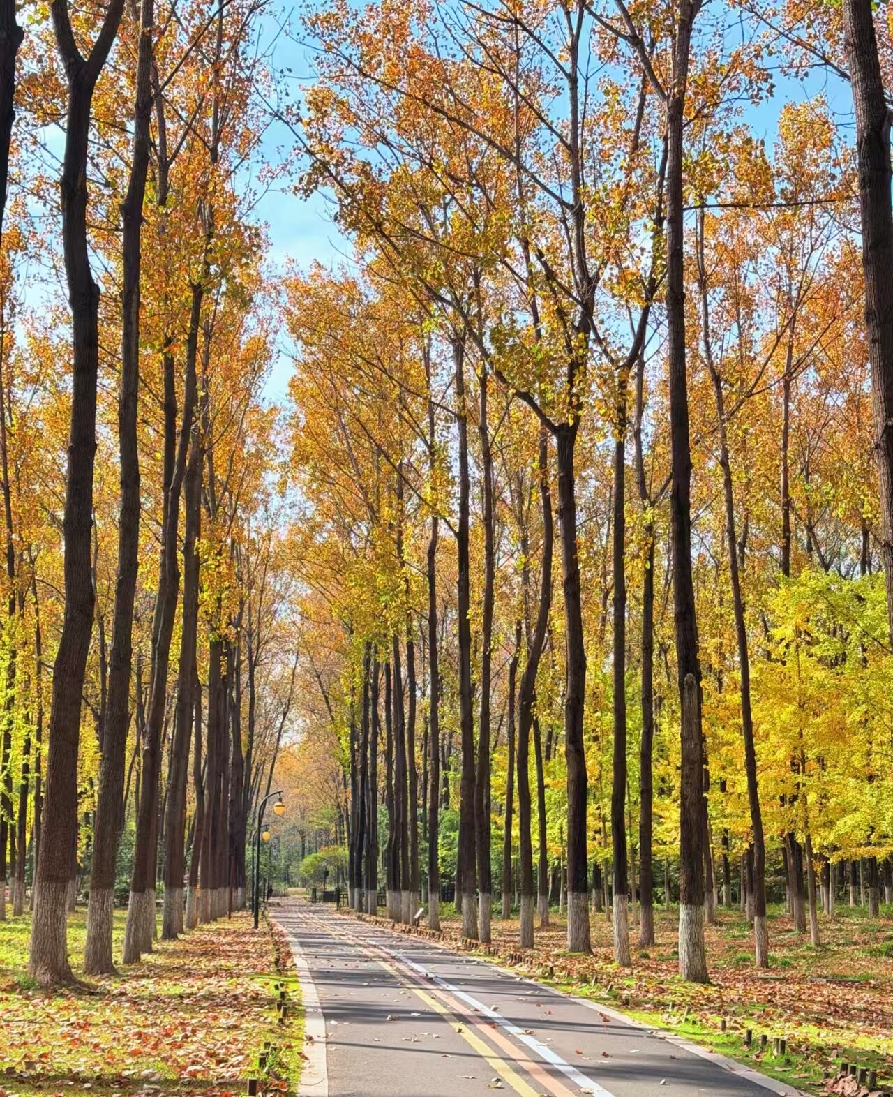 7361477858be31d19b57d57f0f385244-sz_2096895 7361477858be31d19b57d57f0f385244-sz_2096895