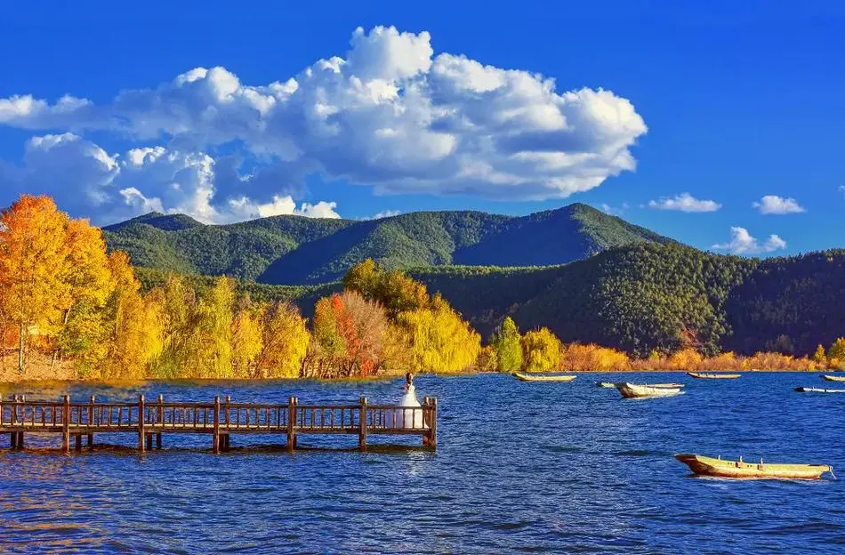 7388d723a3203a95d2dc192a1091cc67-sz_129693