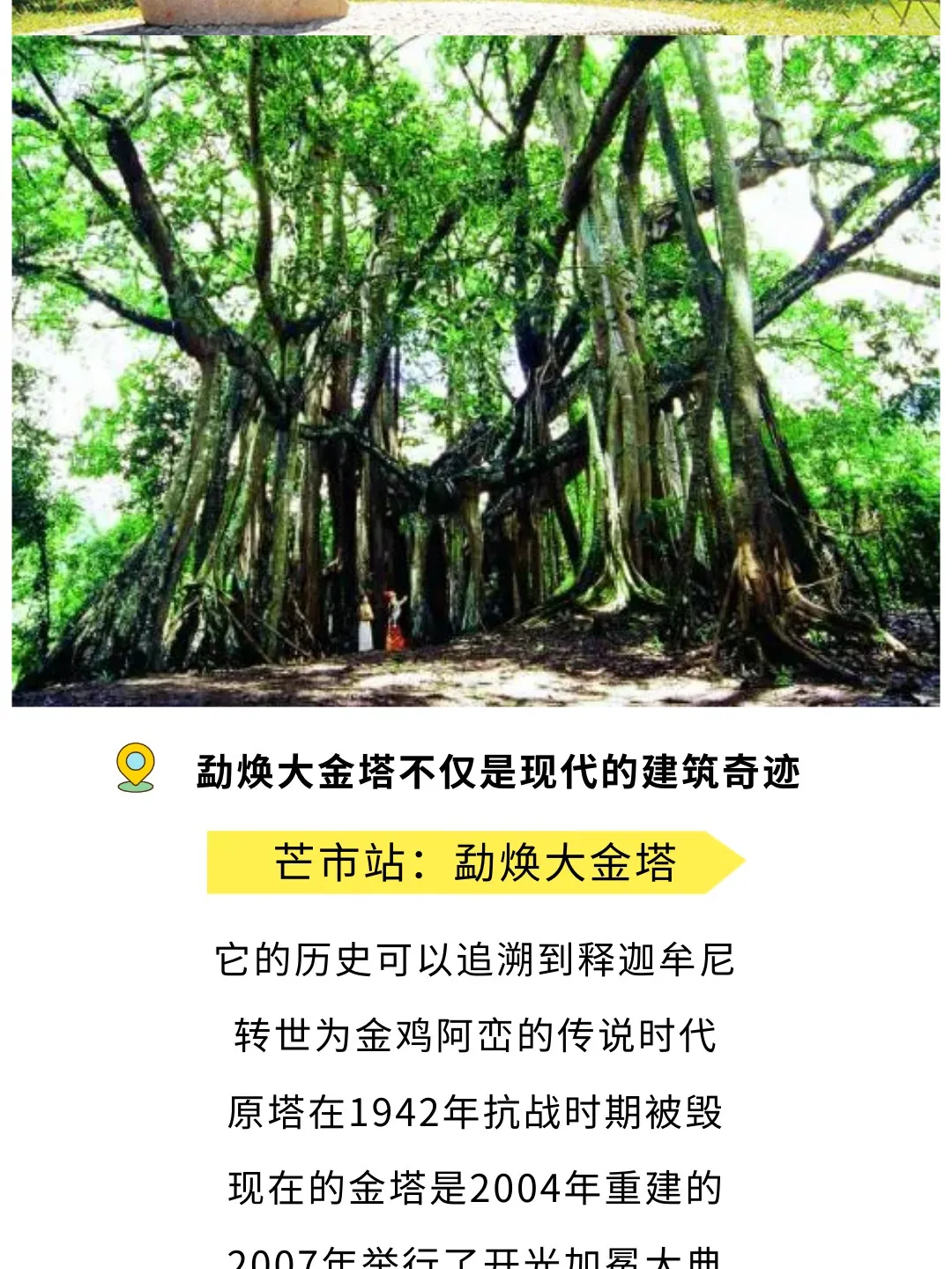 738c4ca78b4e6c2cbbd6ba970bb1b051-sz_376864