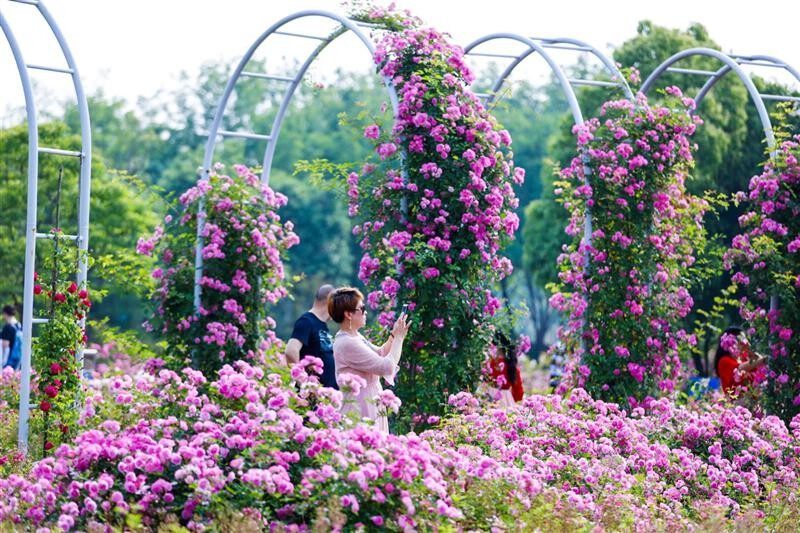 73a015bf14720122b5c4ba84b1ac24f3-sz_181569-1