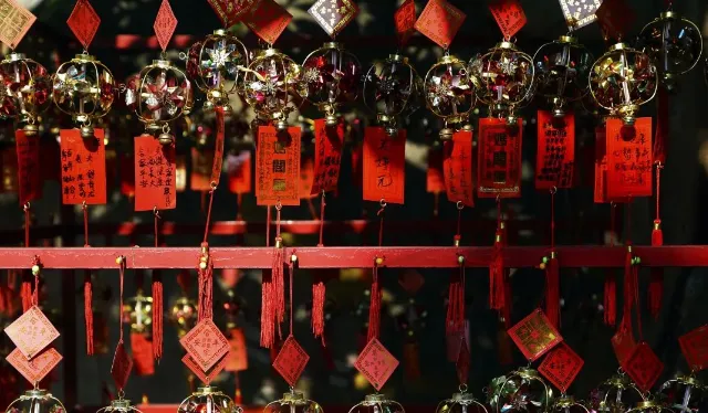 73cd8b99e346a1b4e566fd5e355e6e62-sz_479350 73cd8b99e346a1b4e566fd5e355e6e62-sz_479350