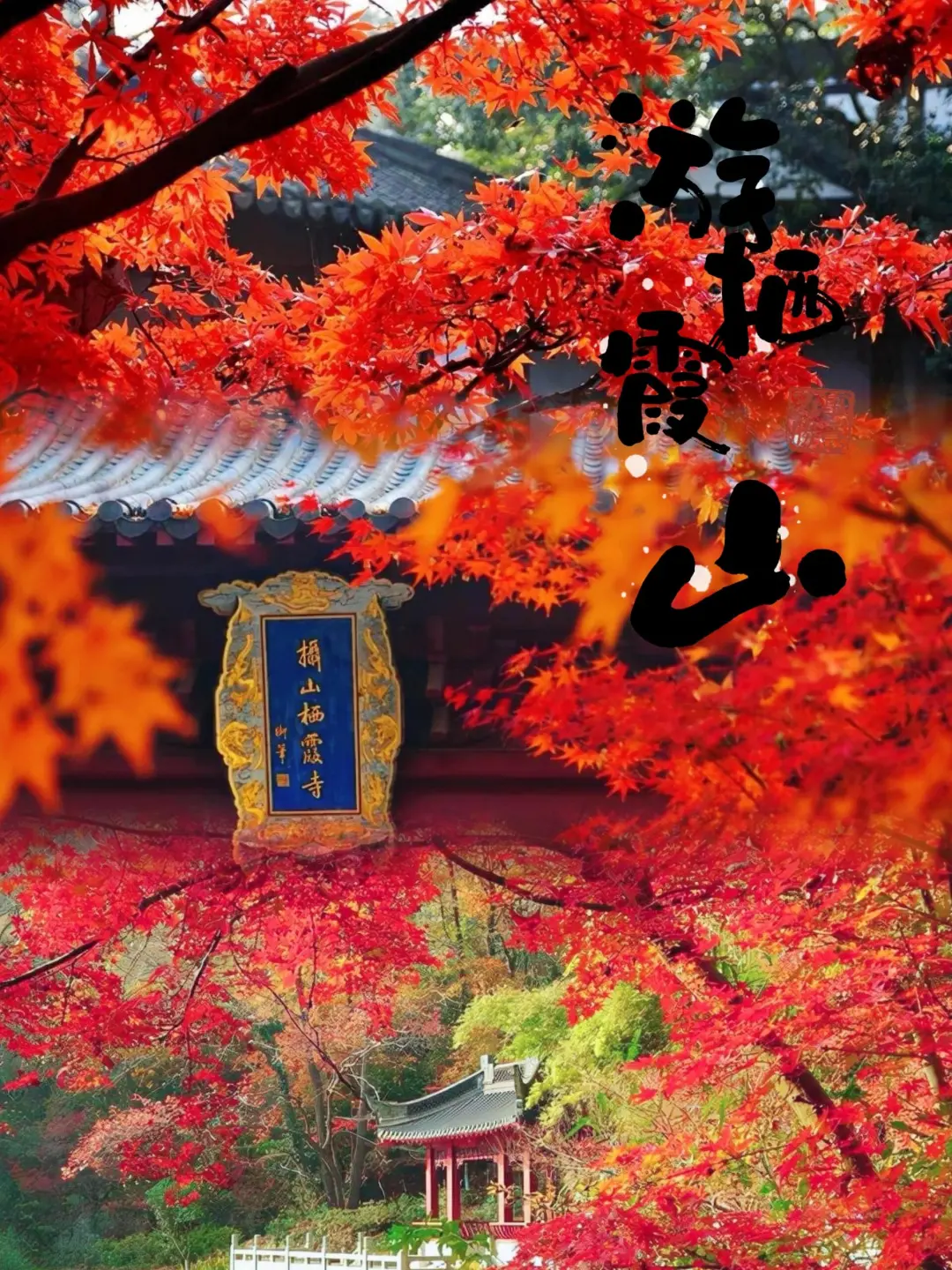 74271cc3eba3b7c6fcba16a407a2d417-sz_755265