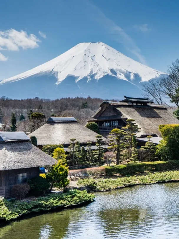 74299e8bfc567c3a774d91bae7ef9b7a-sz_479602 74299e8bfc567c3a774d91bae7ef9b7a-sz_479602