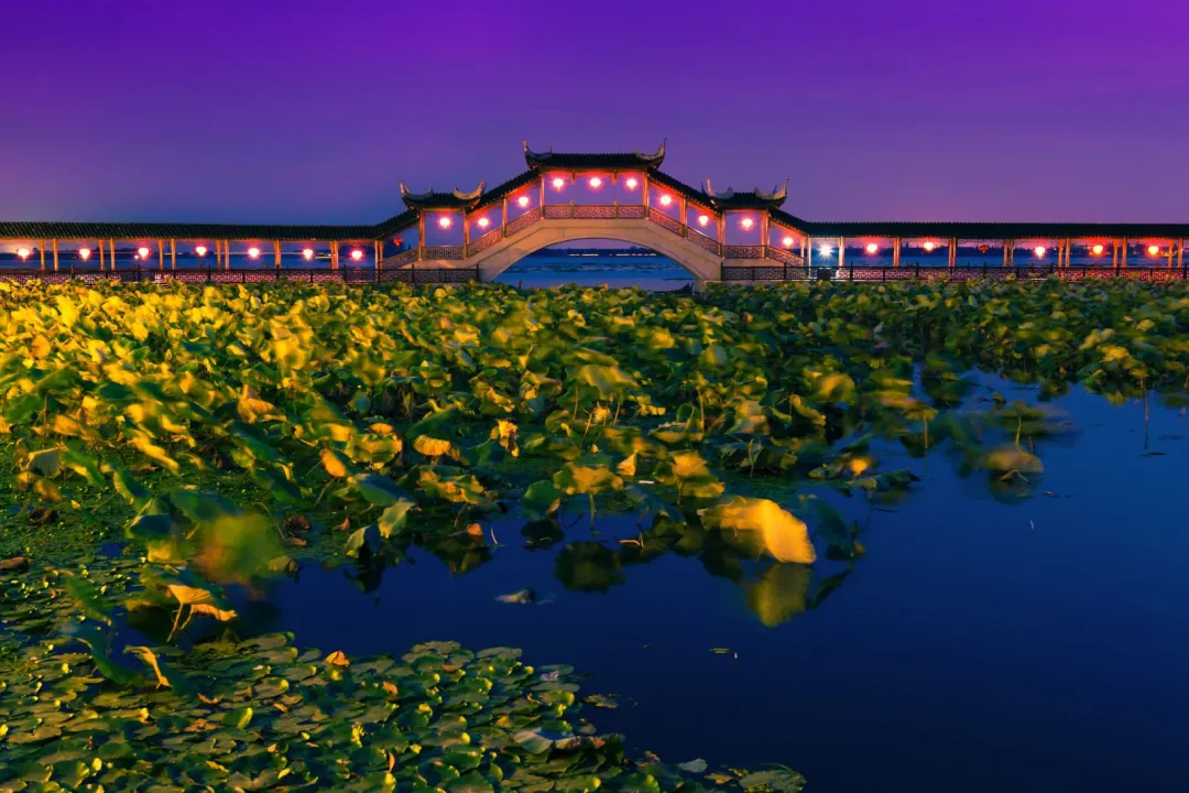 746dcbcfd7696543b408de5bd8e6ae6d-sz_244555