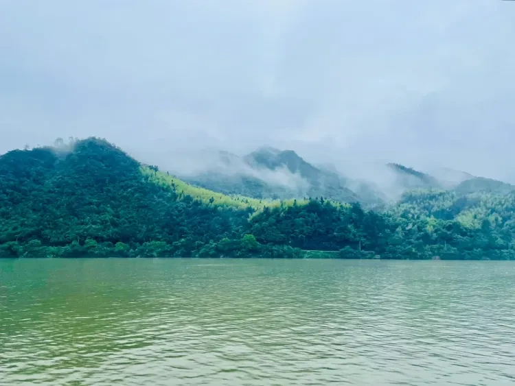 747ccb0add84d8729c8409caa2caedfc-sz_1339672 747ccb0add84d8729c8409caa2caedfc-sz_1339672