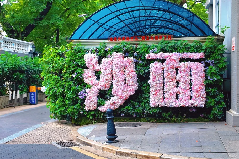 74f24a556d87350468ed95463a0f763a-sz_5324127-1