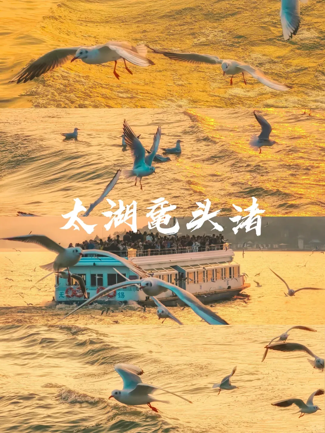 75363785c4855208e28daa9f28a8b93f-sz_3709228-1