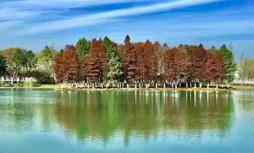 7542853121ca87ba69d9f5f14e9c500e-sz_27107-1 7542853121ca87ba69d9f5f14e9c500e-sz_27107-1