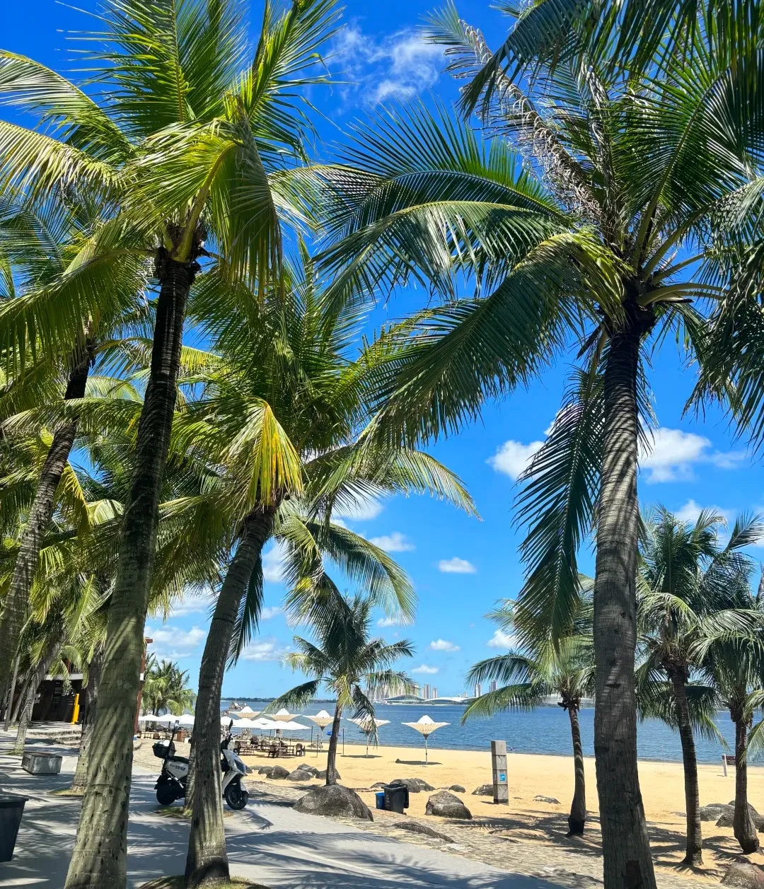 754744a1857d066f8b2463081b6a62cf-sz_786365-1