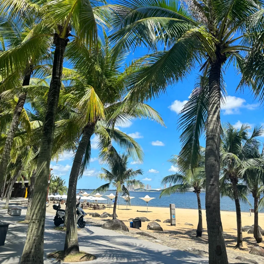 754744a1857d066f8b2463081b6a62cf-sz_786365