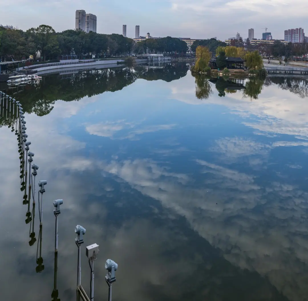 756758906a5fe7efae6655225bd67a2f-sz_298995