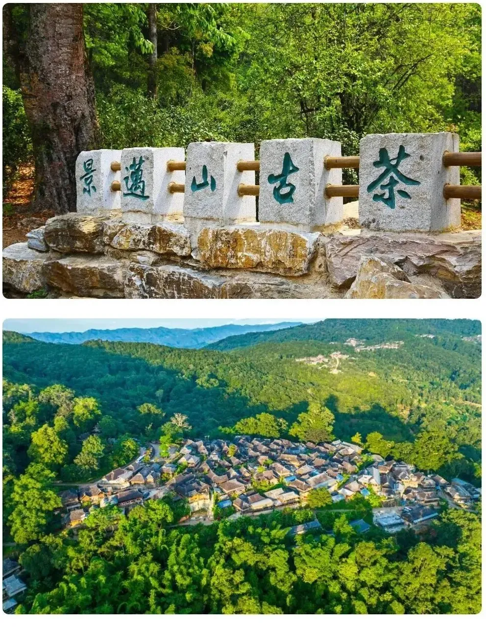 75c3e2bbaccdd0ebbe7cfd579da88232-sz_874330