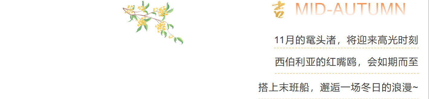 75c6ecbc4f6098ea0909b5b0e4dfdb72