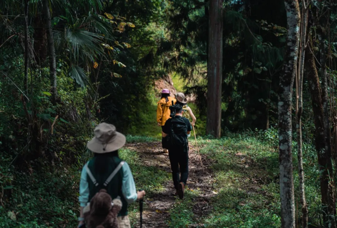 75ce4b683270361e5e982f4dca555f93-sz_7757527 75ce4b683270361e5e982f4dca555f93-sz_7757527