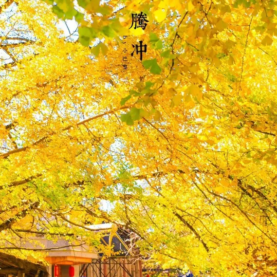 75d945b97fff8eea9720c0f6691173b0-sz_1099962 75d945b97fff8eea9720c0f6691173b0-sz_1099962