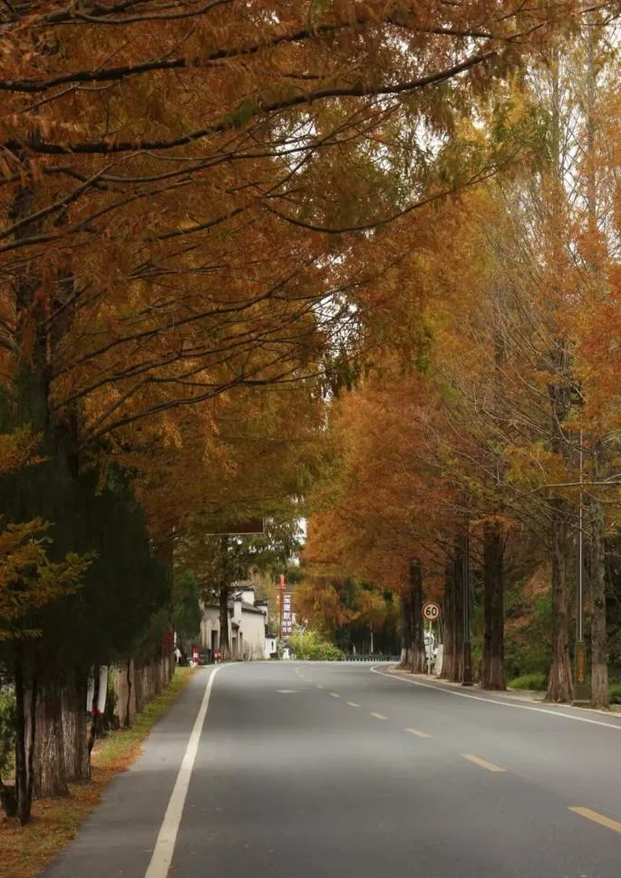 75efe4ebbfe6d6712ac7360977a875a2-sz_1032913