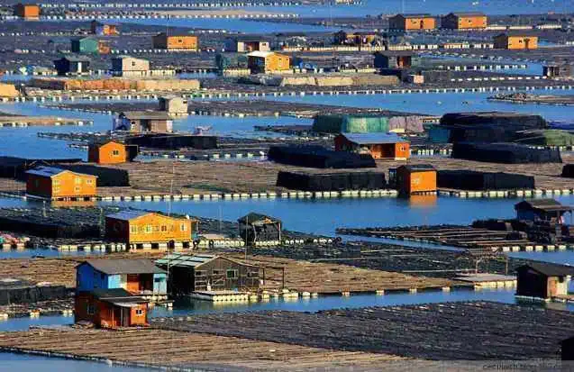 767470c94d3cd2d552ea9de105ab6e29-sz_78614