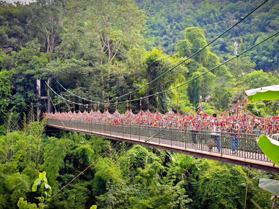 7695e179b6cfdee58d90447768655e94-sz_4844067