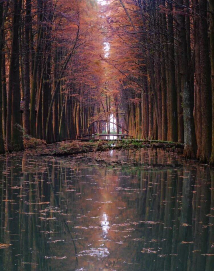 76GOSd5C_CJVAaBaBzj3jBeIX85eQJC7