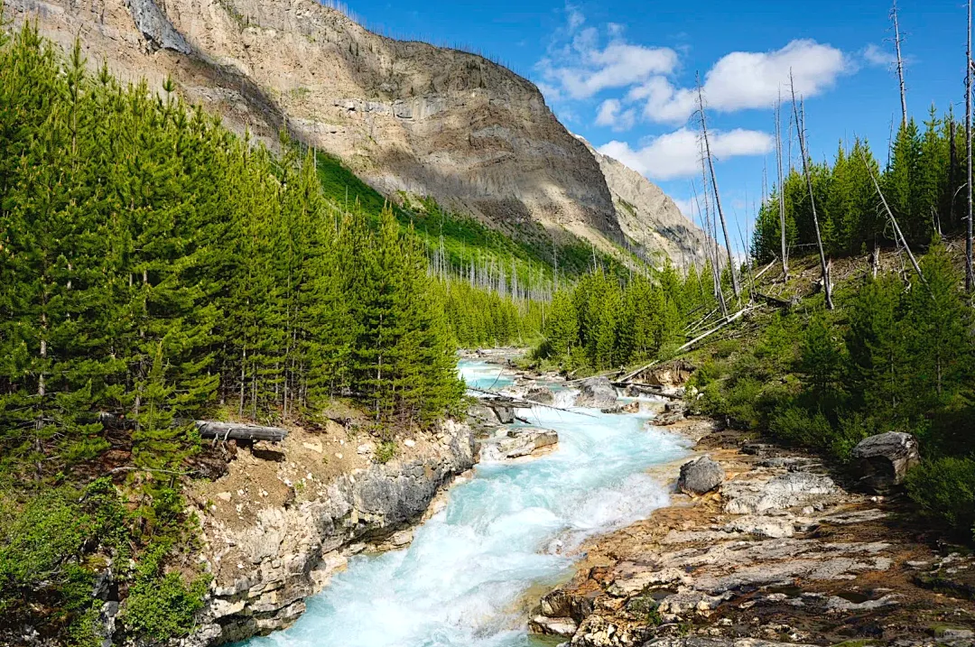 76b53b3afeb079dbb6bfbf729fbcfe41-sz_3657648