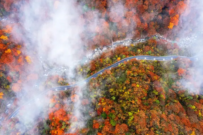 76d382c202025f832dd00fad8c76403b-sz_905237