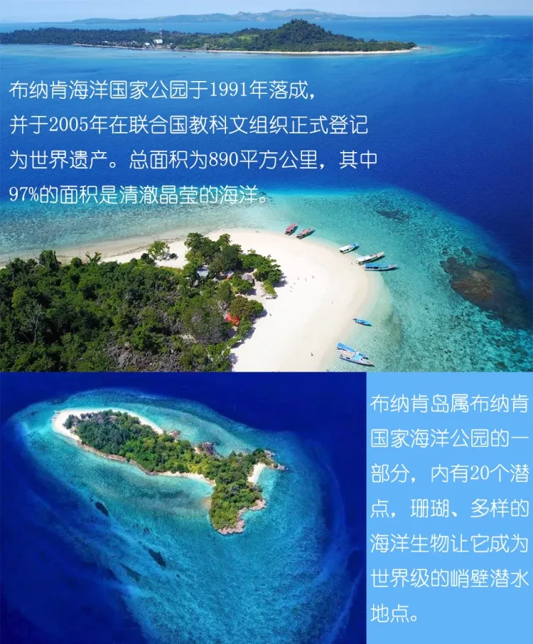 77042f52f88b997fc576f43992f86176-sz_976139 77042f52f88b997fc576f43992f86176-sz_976139