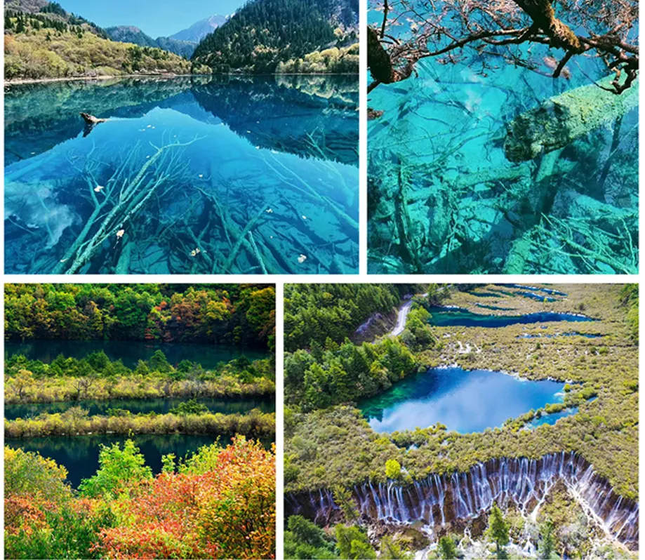 7726b4142075aae7e369d0b68f206873-sz_1454111