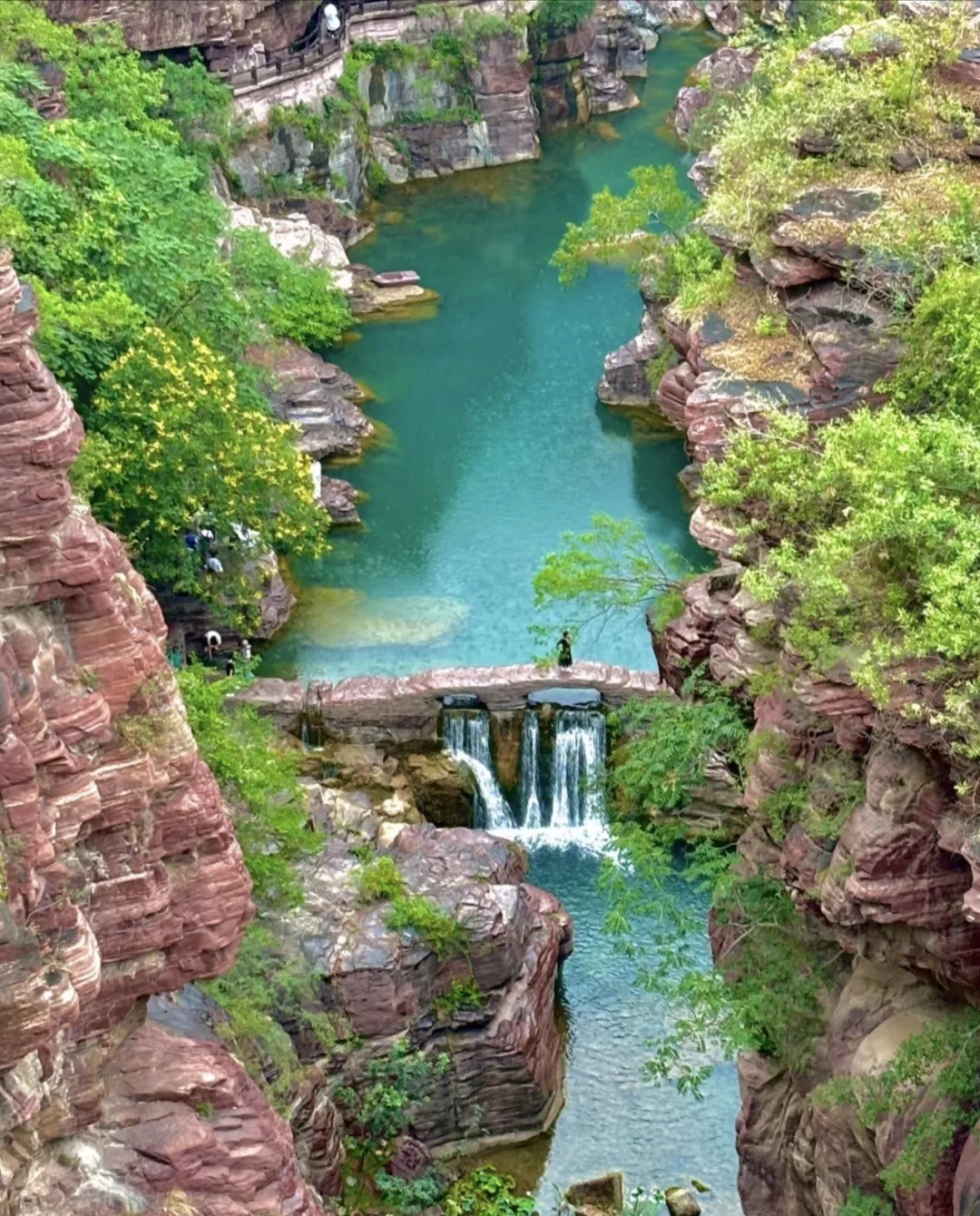 7756a4f840bb99219b3823a4369ff873-sz_1493277