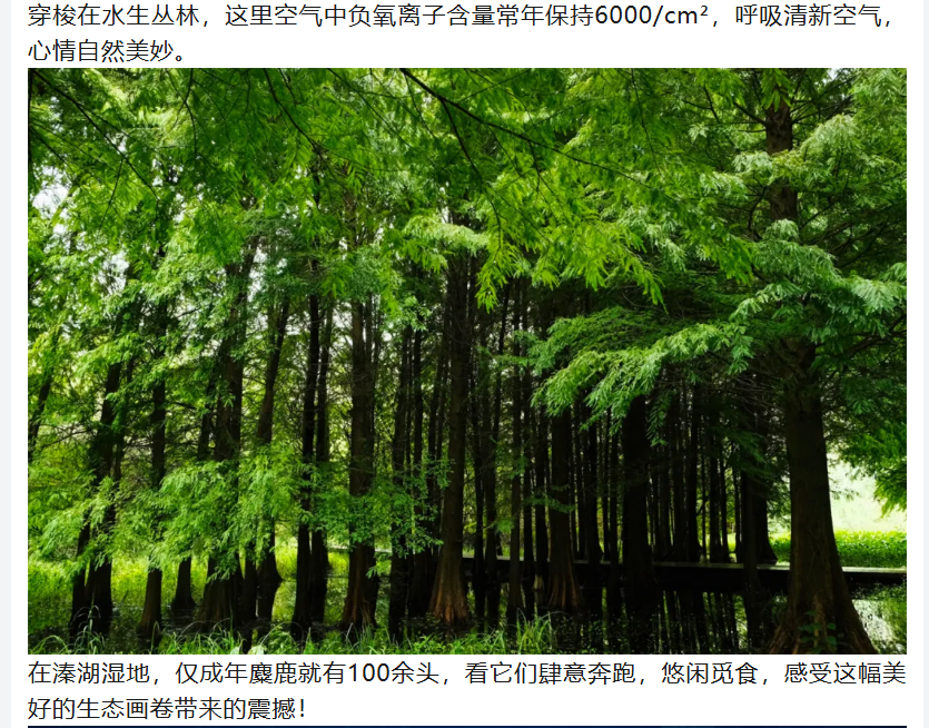 777d7106ae440ceca50a67d89bd2307d