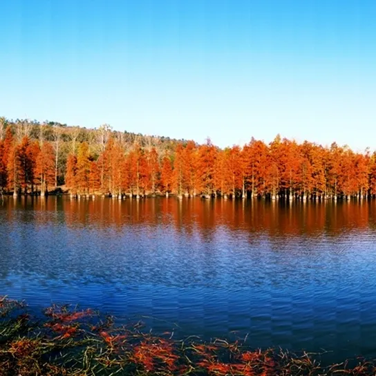 77936aca1fa16ff45184a6a6ee79a399-sz_935988-1 77936aca1fa16ff45184a6a6ee79a399-sz_935988-1