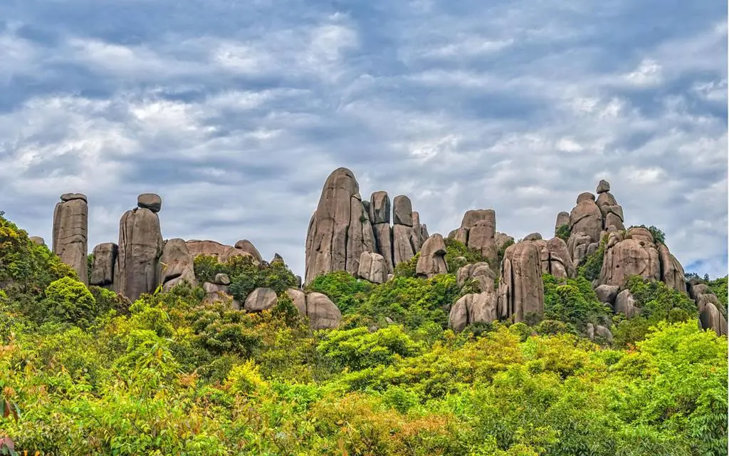 7796d7c136afbbd080444d94da479a84-sz_136198