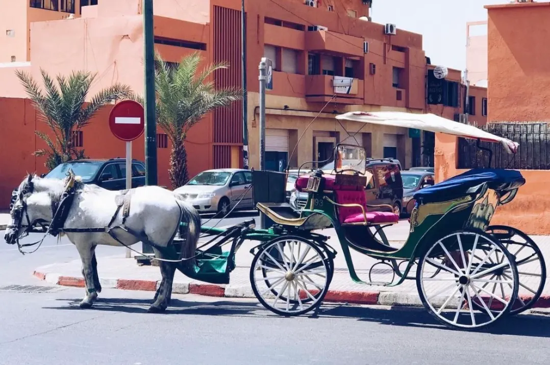 77a85c015e3f3ec8400e476f7df8e963-sz_1827522