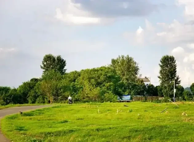 77c25e8d048b5d1b3ca5e3573812c408-sz_603781-1