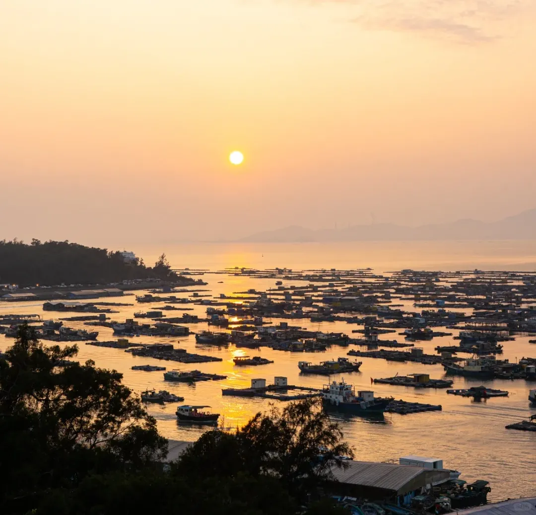 77fe1142e3808bbc265eae463e385a8c-sz_1176898