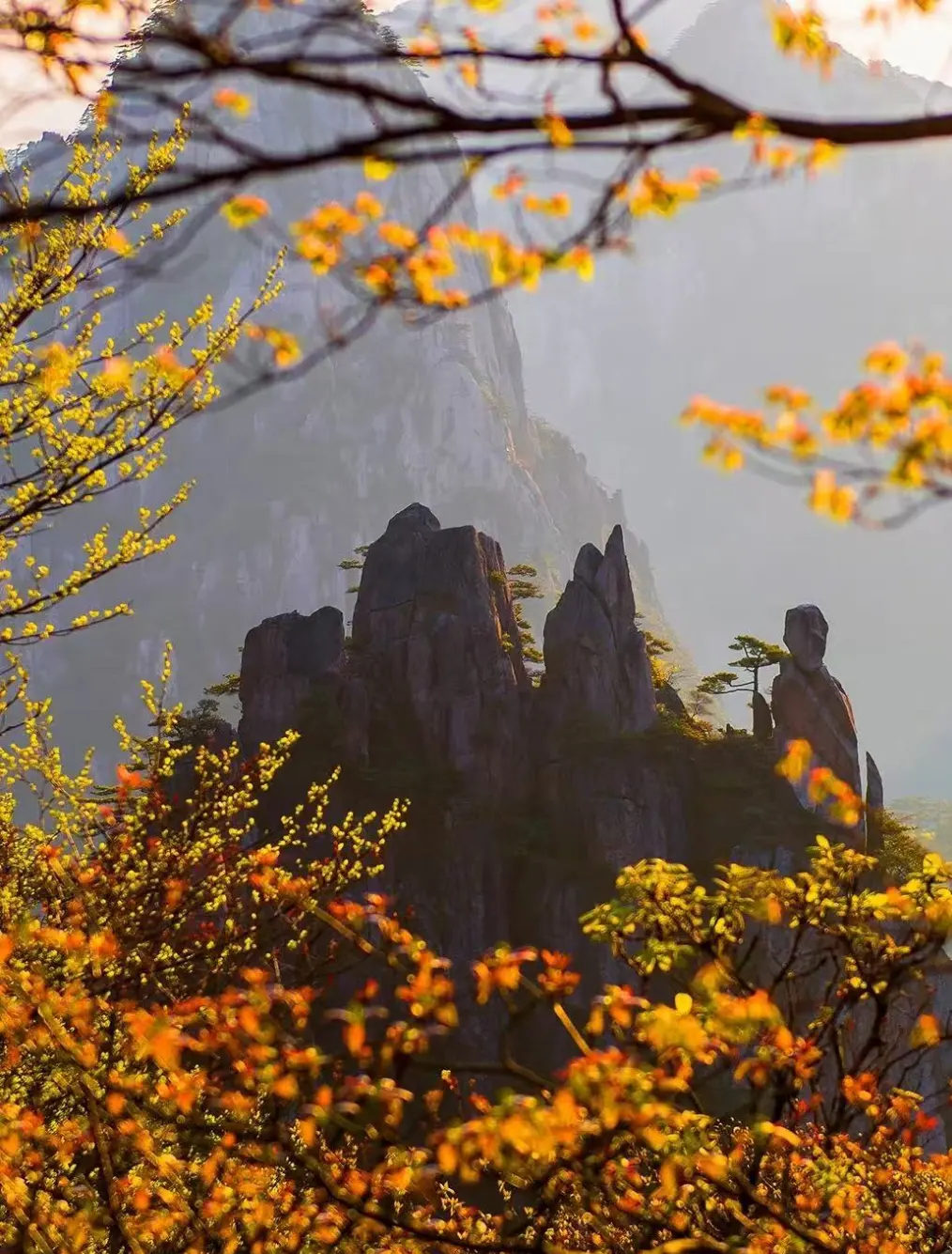 78015d78156a14afed4e2e6e7f2fc54e-sz_289791