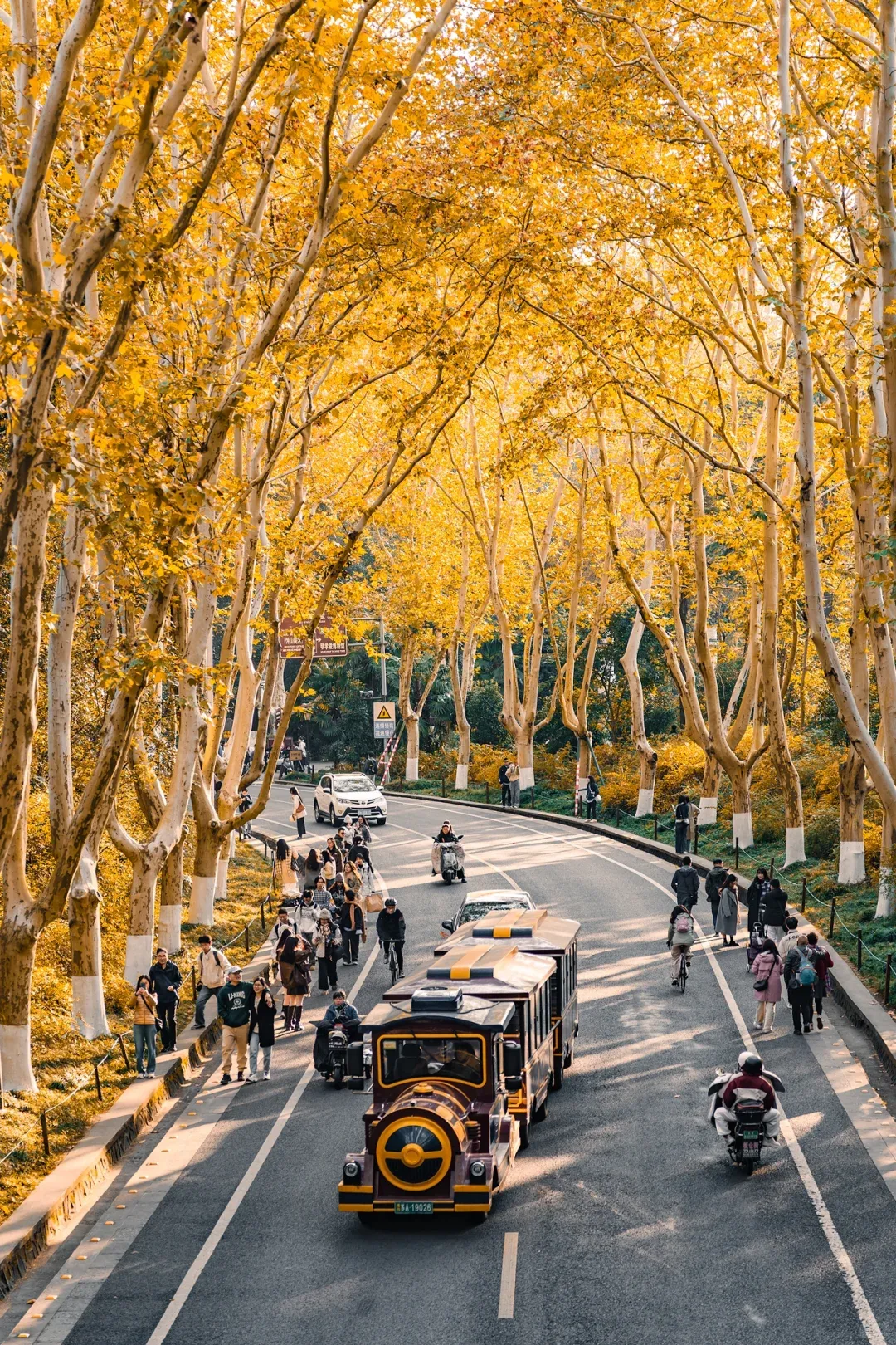 7805bc892d6f79124f8f79f9c8ccf836-sz_3861591 7805bc892d6f79124f8f79f9c8ccf836-sz_3861591