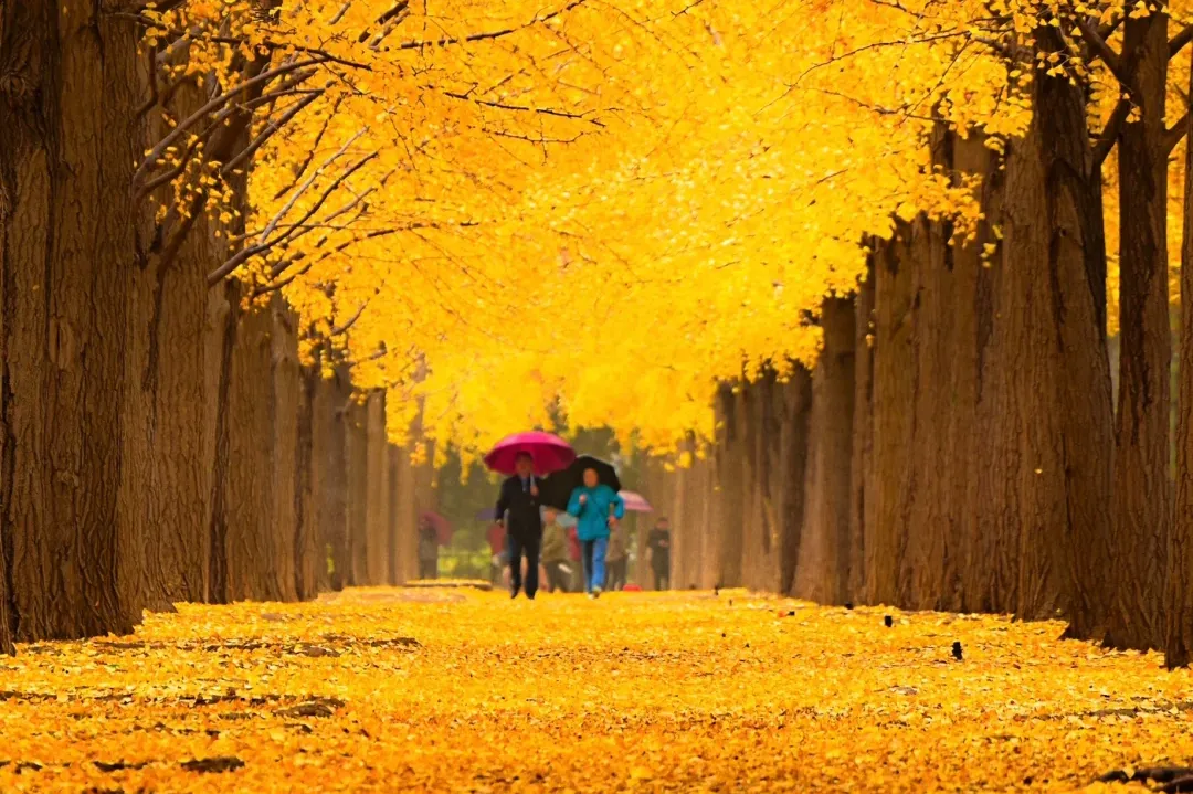 7844af9d5f0737b87d55ca93640b578b-sz_5548287