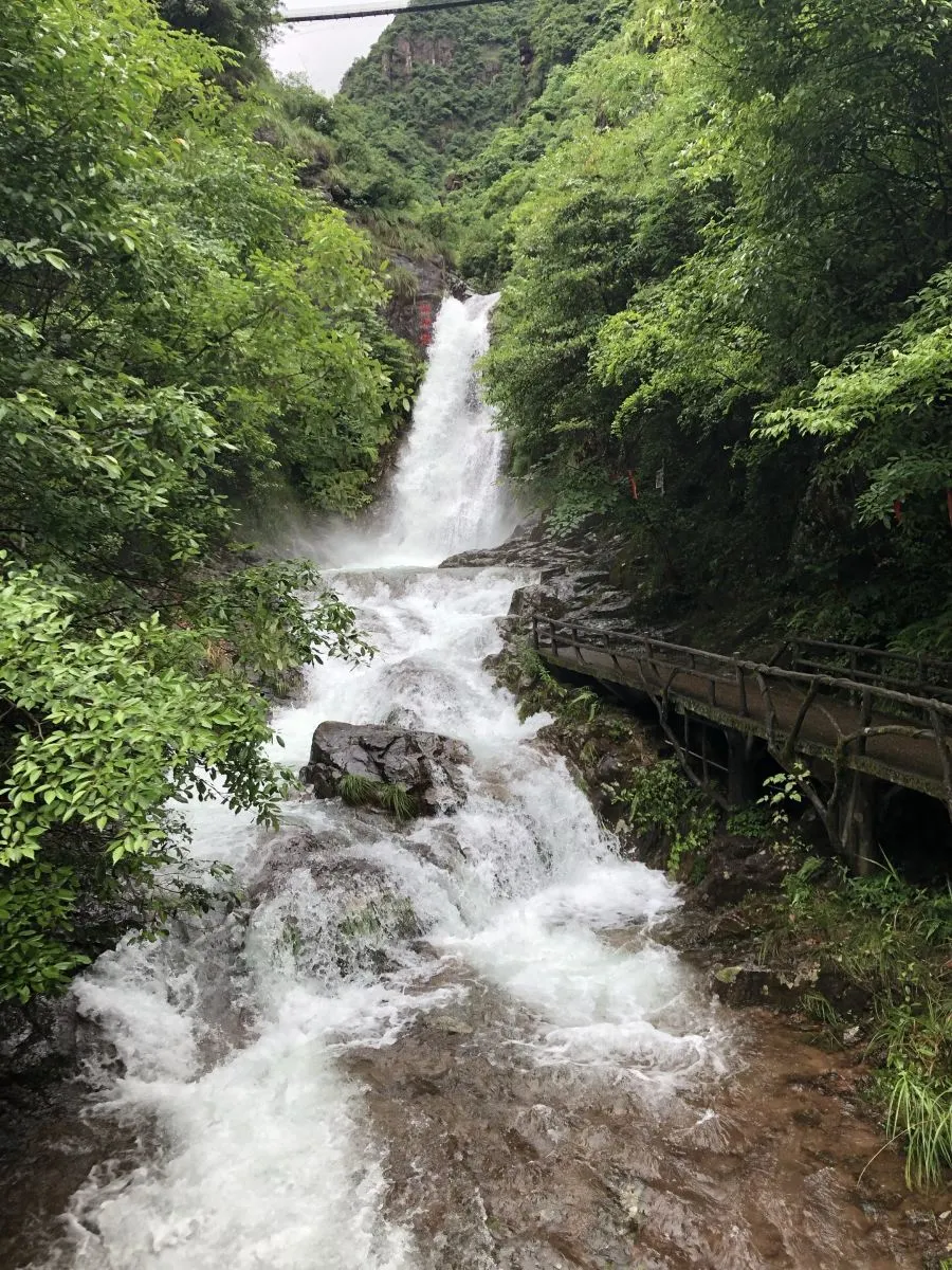 786760ac98687923377bbacb30e96b57-sz_302649-1