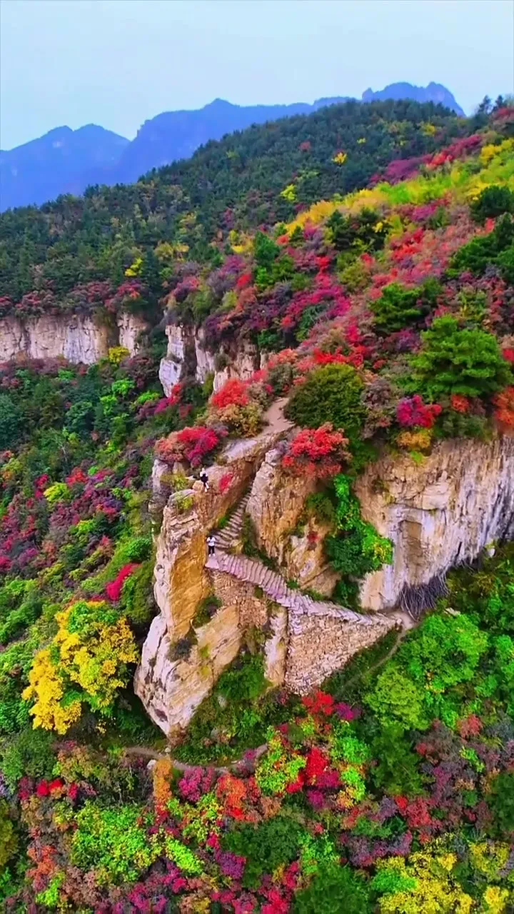 7869e3d587db7408f588b6e2ef39945f-sz_356999 7869e3d587db7408f588b6e2ef39945f-sz_356999