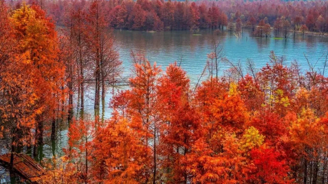 78d83048b967f05540445d86c37f13db-sz_1116144-1