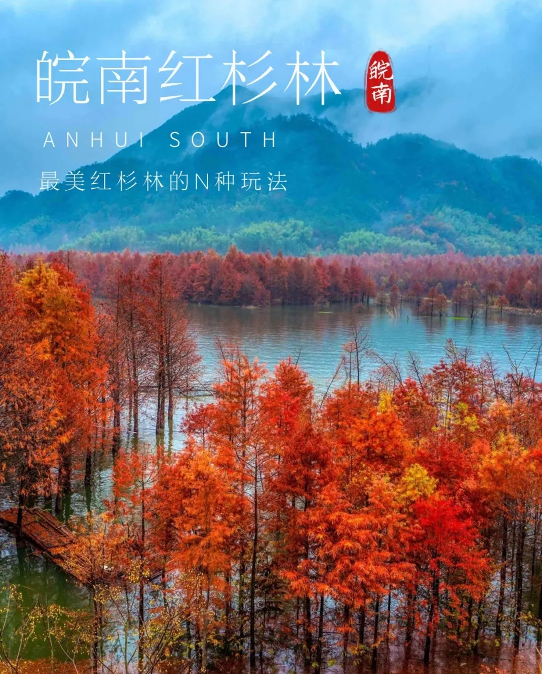 78d83048b967f05540445d86c37f13db-sz_1116144