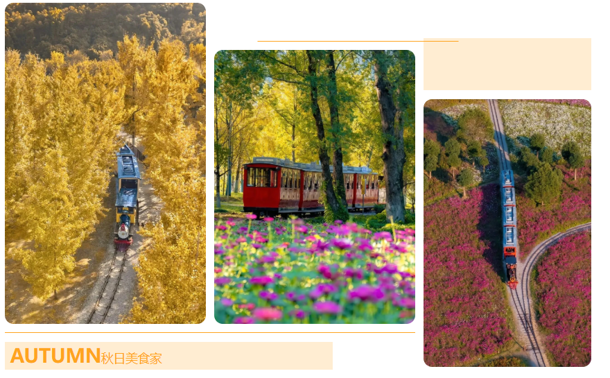 790db392d29698ba1a618b3445d23fb8