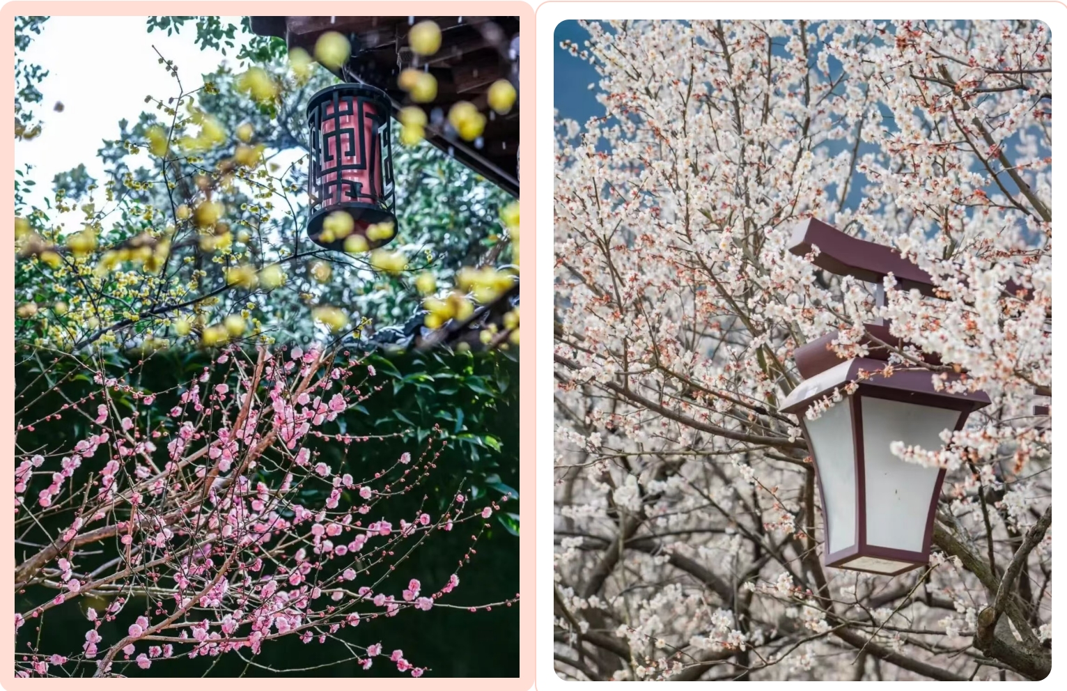 791d4252366c5ee643590d50a636a99d 791d4252366c5ee643590d50a636a99d