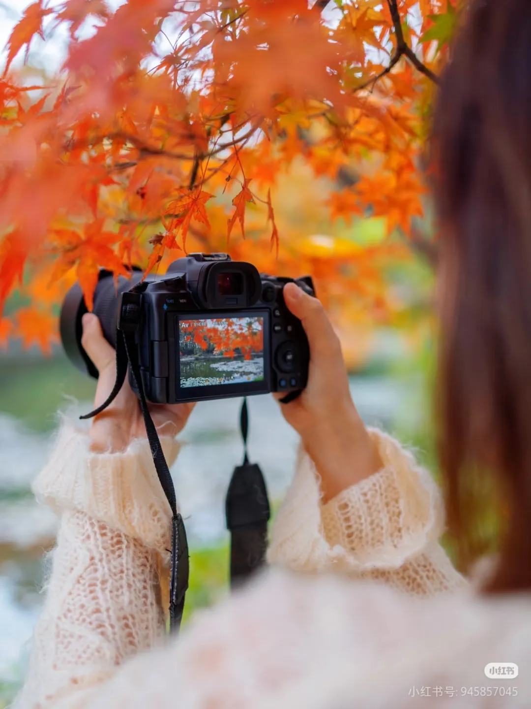 7923a86829a65e86626fed73b805976a-sz_1044255