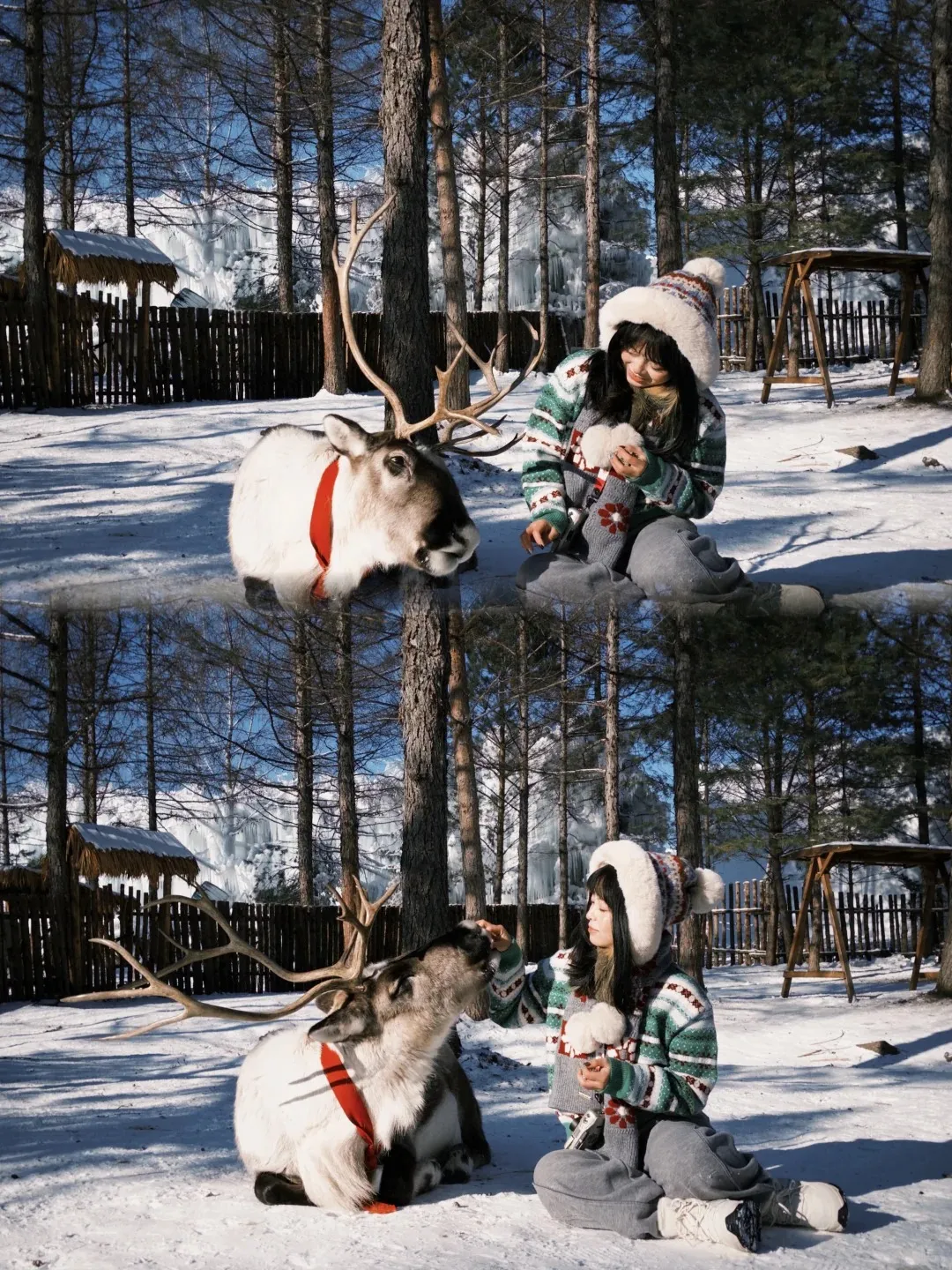 7968f5a9fc53a13c39ff4eff7605139a-sz_620764