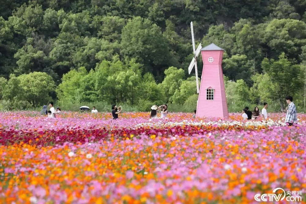 7980c2fe7bf701088db61e2d8c054d96-sz_316023