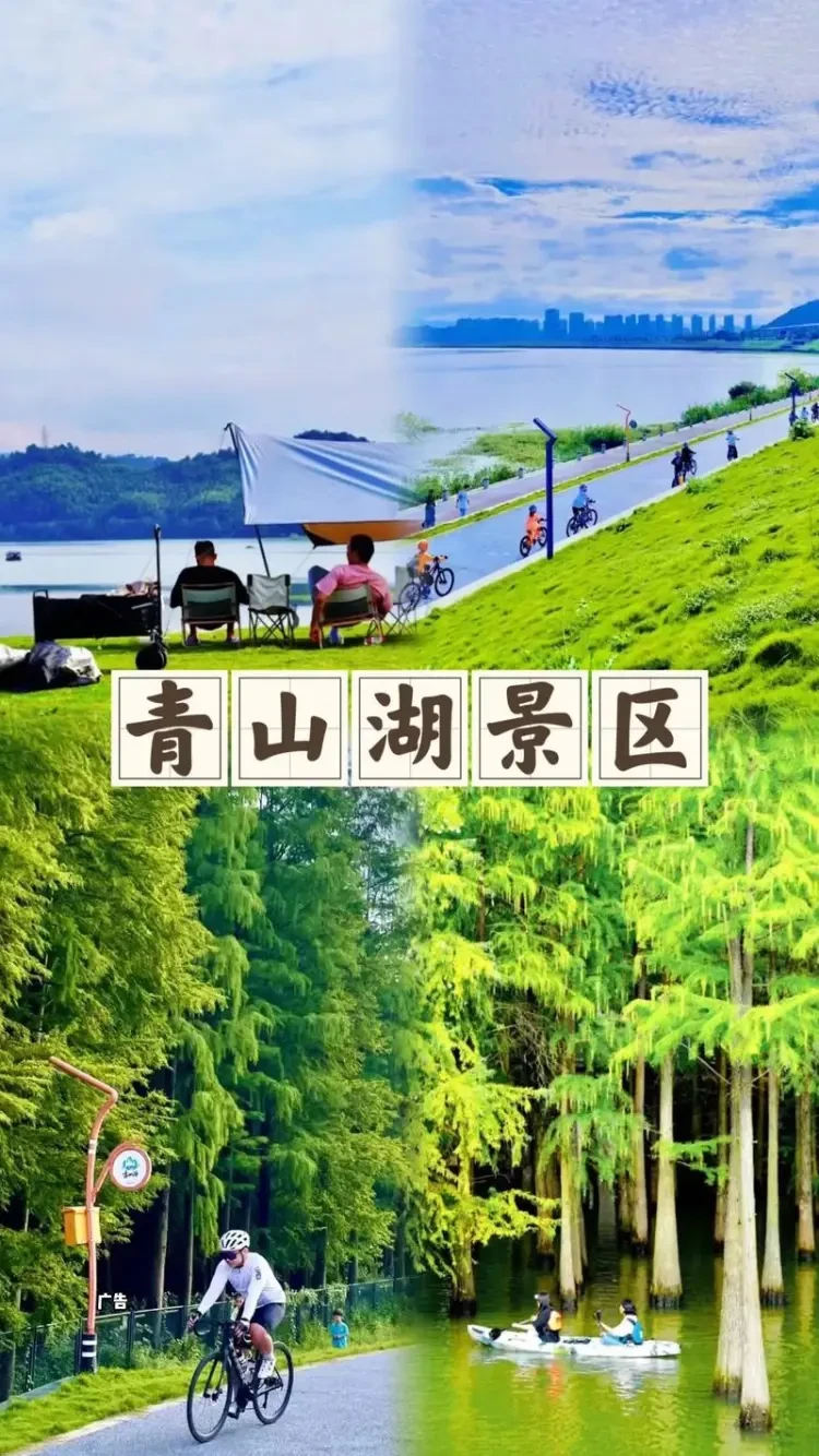 798fc6cb705ac5e0d4dcac74da941109-sz_215461