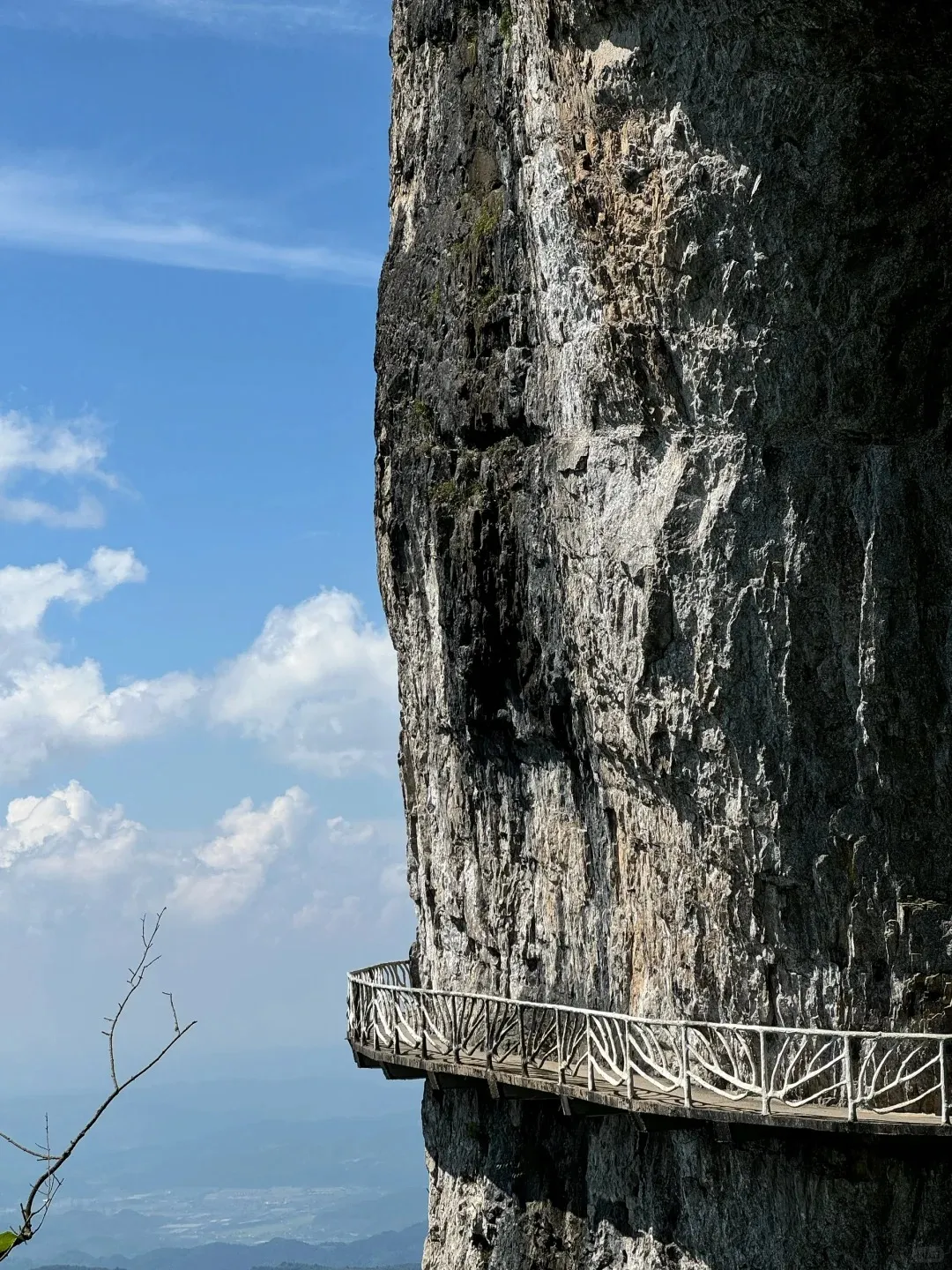 79d647868dd37742ae79c23438f1eed7-sz_554330