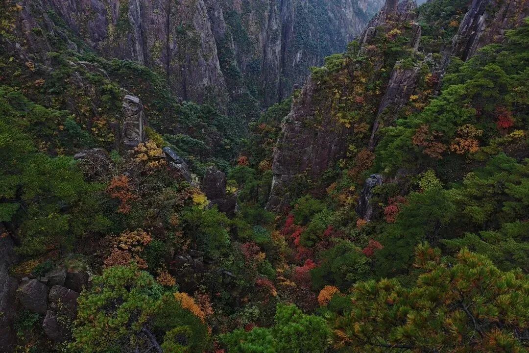 79e92cf50605c8092f3d51b9fa2f3e65-sz_222187