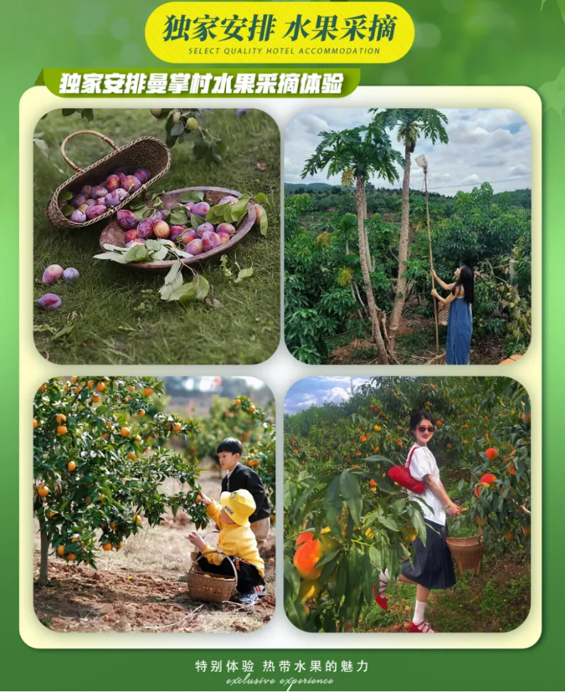 79f4a6cdfed58467c6de7d7159622f64-sz_2049092 79f4a6cdfed58467c6de7d7159622f64-sz_2049092